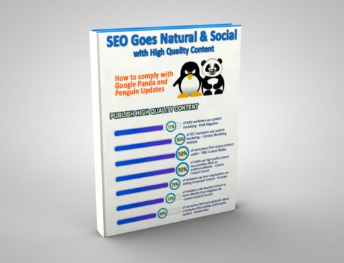 Search Engine Optimization Infographic